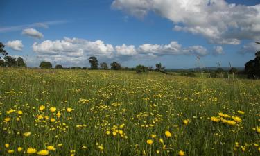 Hoteles con parking en Midsomer Norton