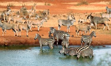 Hotel a Tsavo West National Park