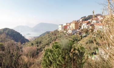 Holiday Rentals in Muggiano