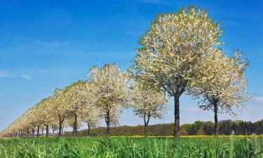 Hotels met Parkeren in Swisttal