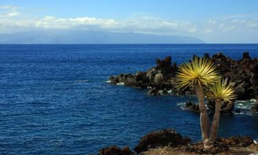 Ferieboliger i La Playa Calera