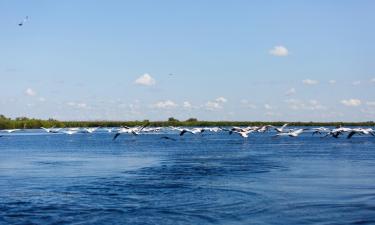 Alquileres vacacionales en Maliuc