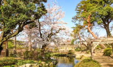 Hoteles económicos en Kiryu