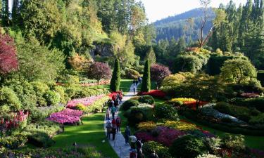 Hôtels acceptant les animaux domestiques à Brentwood Bay