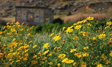 Familiehotels in Gourri