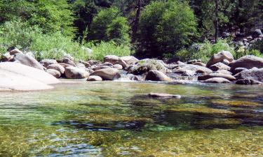 Hotels familiars a North Wawona