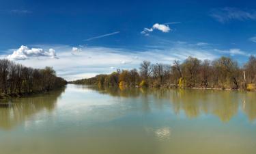 Viešbučiai mieste Hohenšeftlarnas