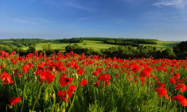 Hotels with Parking in Barham