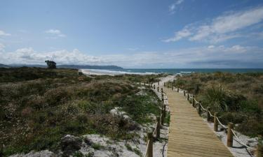 Cottages in Waihi Beach