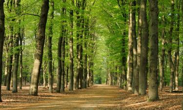 Hoteles con parking en Beetsterzwaag