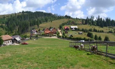 Hoteles en Tău Bistra