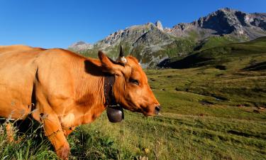 Hotels in Sainte-Foy-Tarentaise