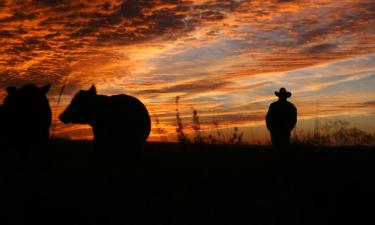 Hotels in Guymon