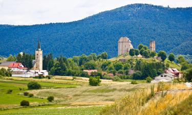 Haustierfreundliche Hotels in Brinje