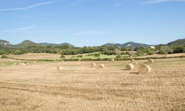 Cabañas y casas de campo en Muro