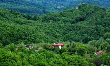 Hotel con parcheggio a Voneshta Voda