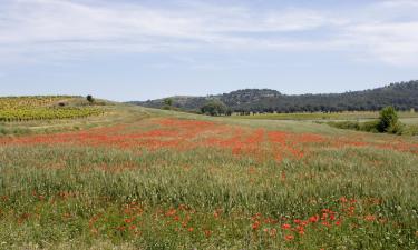 Holiday Rentals in Bouilhonnac