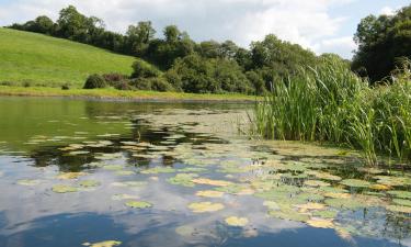 B&Bs in Ballyconnell