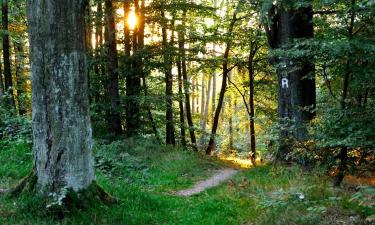 Hoteller i Masserberg