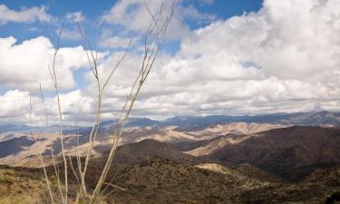 Các Khách sạn có chỗ đậu xe ở Wickenburg