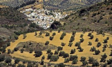 Hoteles con estacionamiento en Algarinejo