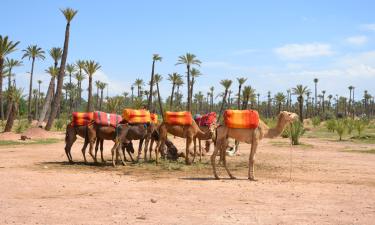 Hoteles con estacionamiento en Dar Caïd Layadi