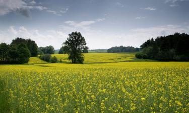 Fjölskylduhótel í Maków Mazowiecki