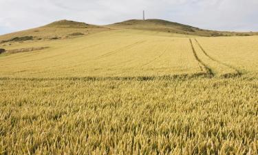 Povoljni hoteli u gradu 'Lagarrigue'