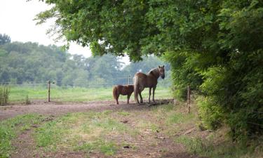 Hotels met Parkeren in Annen