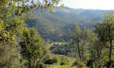 Cottages in Cala