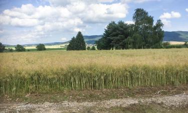 Parkimisega hotellid sihtkohas Coppenbrügge