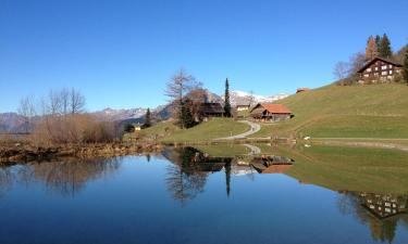 Hotels with Parking in Hasliberg Wasserwendi