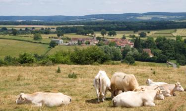 Hotel con parcheggio a Vitry-en-Charollais