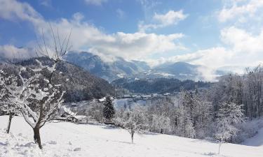 Παραθεριστικές κατοικίες σε Šenturska Gora