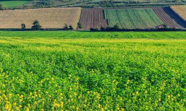 Alquileres vacacionales en Basse-Bodeux