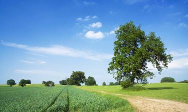 Hotel con parcheggio a Westbroek