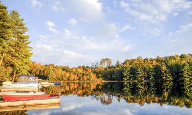 Cabañas en MacTier