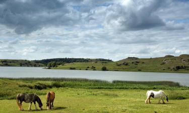 Family Hotels in Bruff