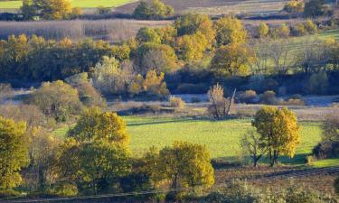 Allotjaments vacacionals a Monclar-de-Quercy