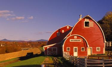 Cottages in Castleton