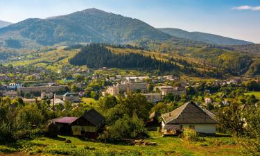 Готелі, де можна проживати з хатніми тваринами у Воловці