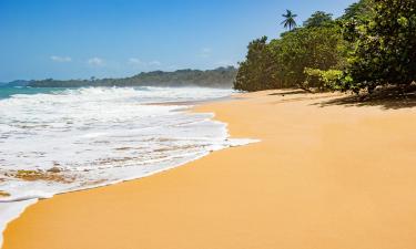 Beach rentals in Brick Bay