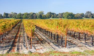 Bed and breakfasts en Sutter Creek