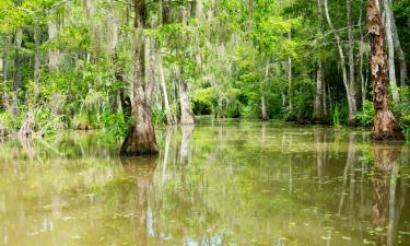 Hotels with Pools in Thibodaux