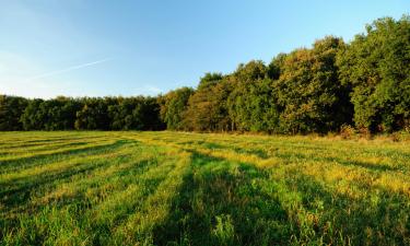 Hotell med parkering i Riethoven