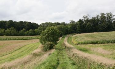 Cabañas en Meysey Hampton