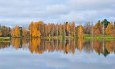 Viešbučiai mieste Tyrväntö