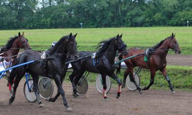 Bed and breakfasts en Craon