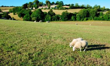 Cottages in Clutton