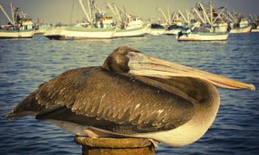 Hoteles con parking en Chimbote